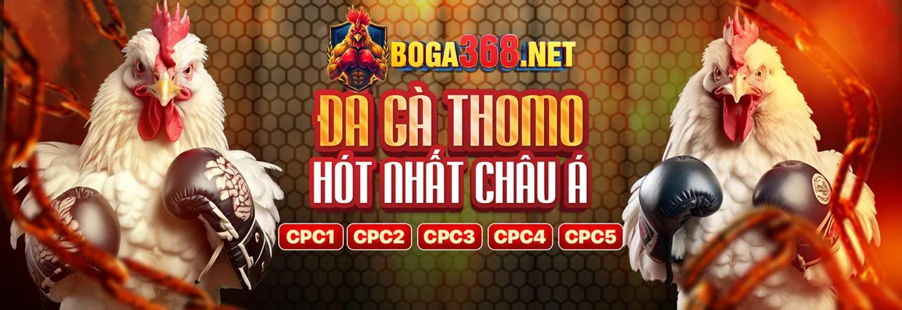 Đá Gà Trực Tuyến Hấp Dẫn tại VU88
